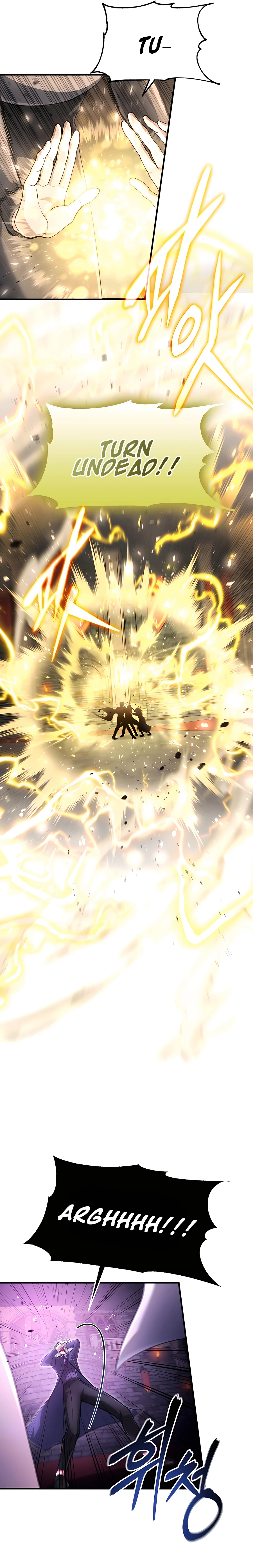 how-to-live-as-an-unlicenced-healer-chapter-24-12
